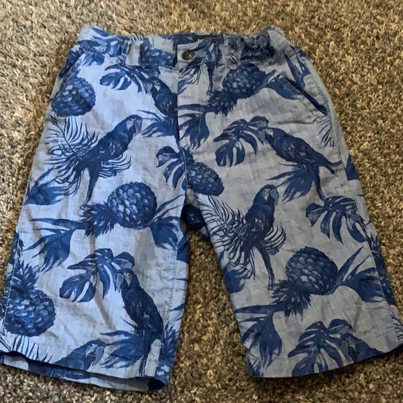The Children's Place Other - Boys size 12 Great Condition Parrot shorts